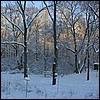 joannes_yard_snow.jpg